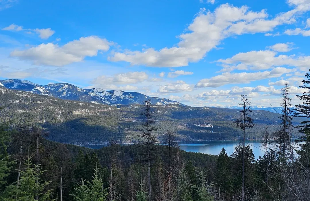 Stillwater State Forest